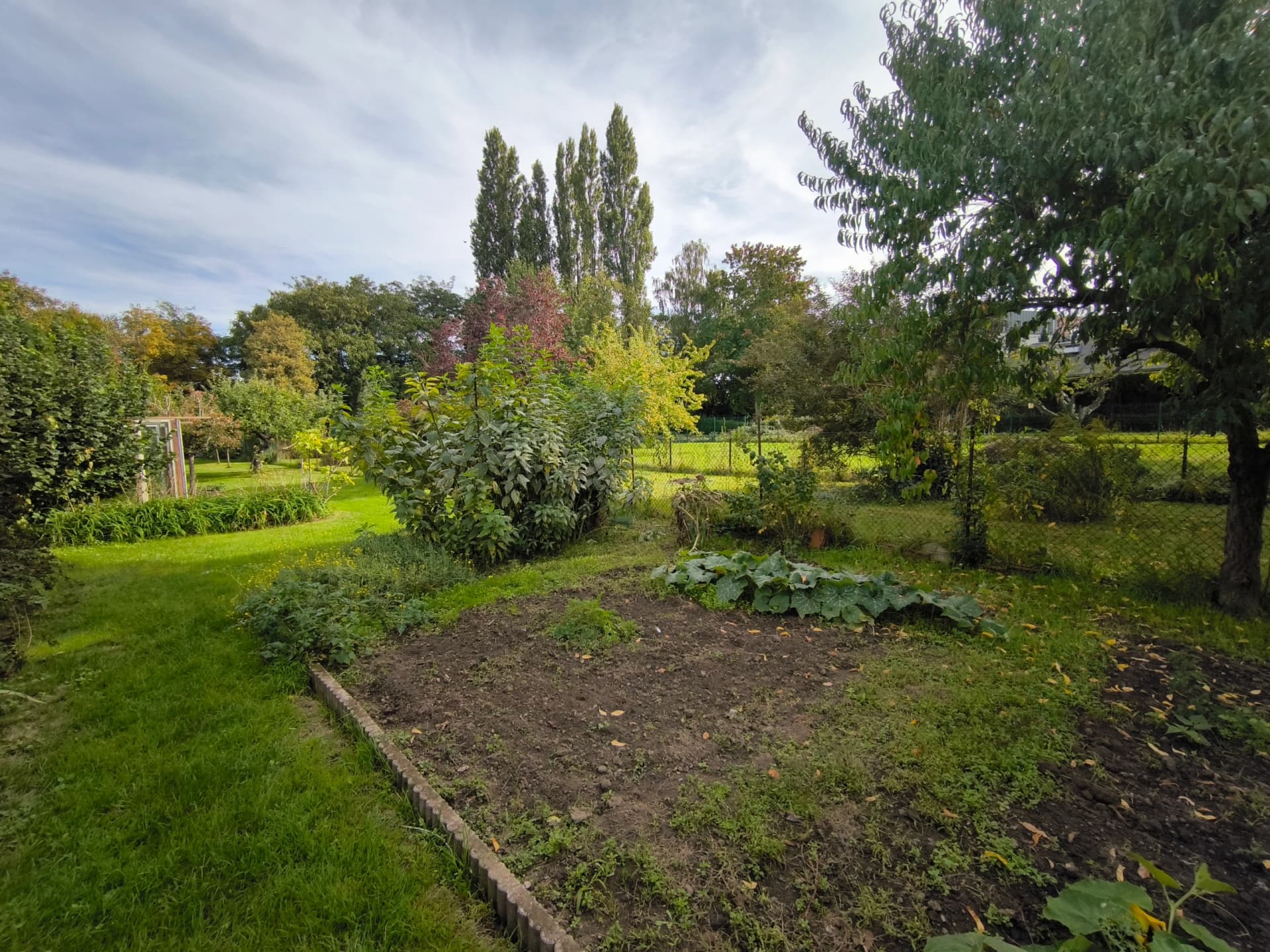 Maison de ville avec beau jardin !