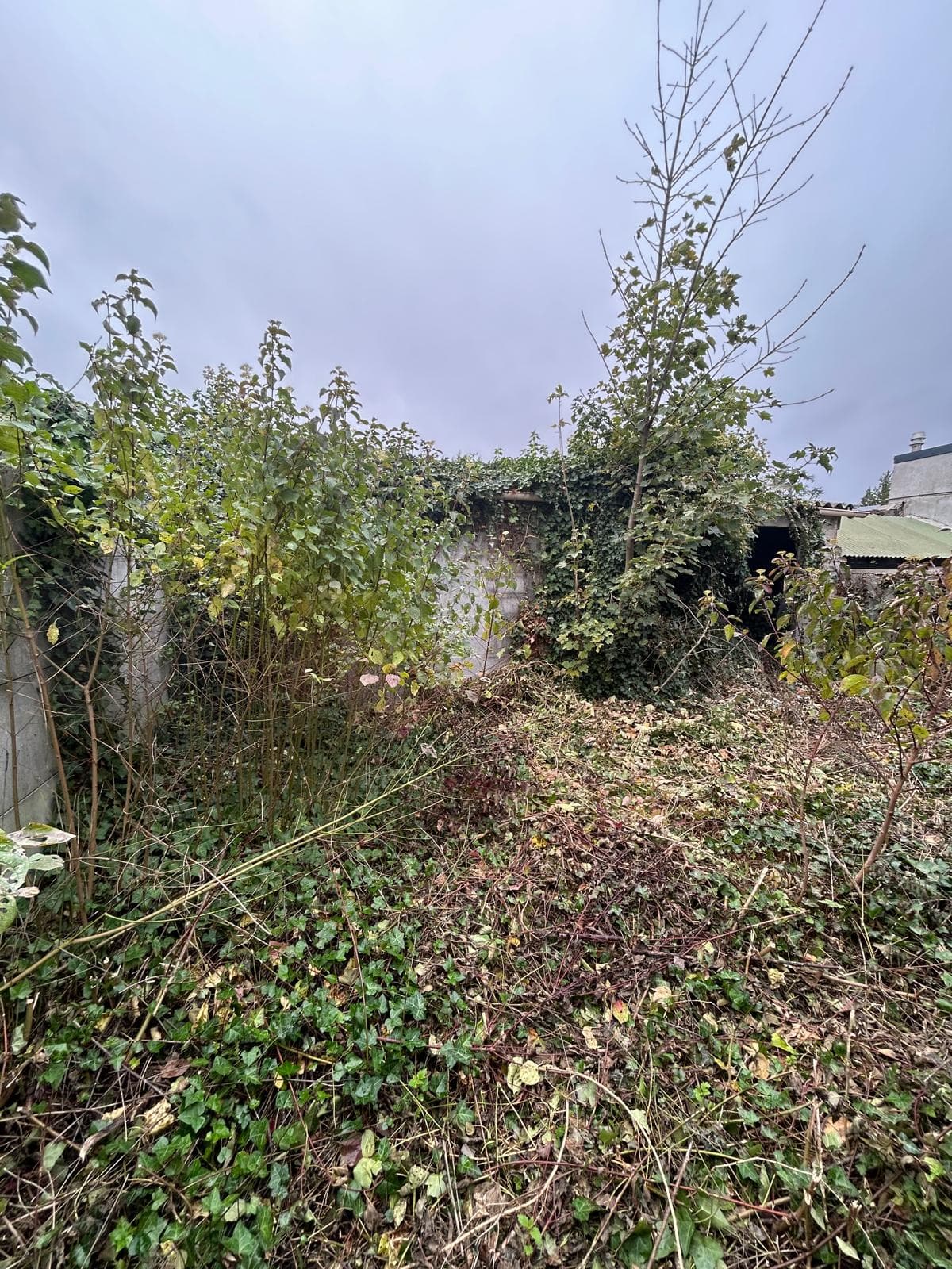 Avec jardin sur Lambres-lez-Douai - Idéal jeune couple !